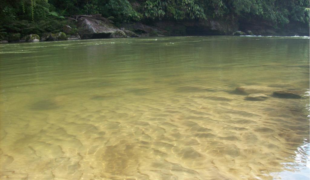 Playaselva Reserva Biologica Archidona Exterior photo